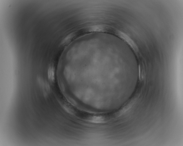 X0000115400157200911101519