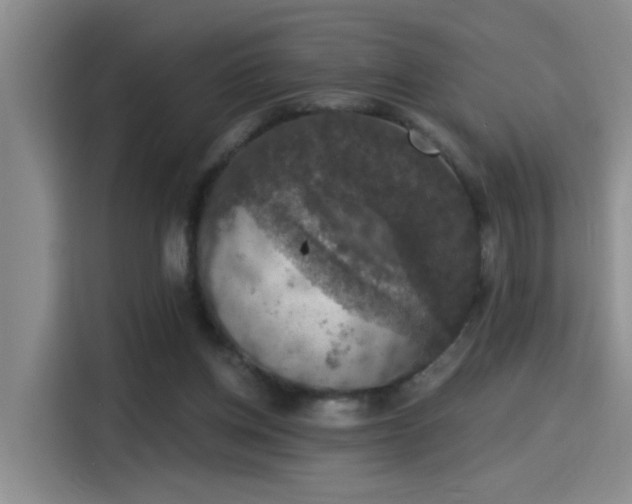 X0000115400158200911101519