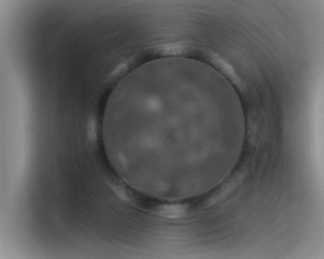 X0000115400161200911101519