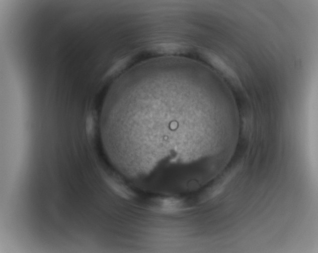 X0000115400165200911101519