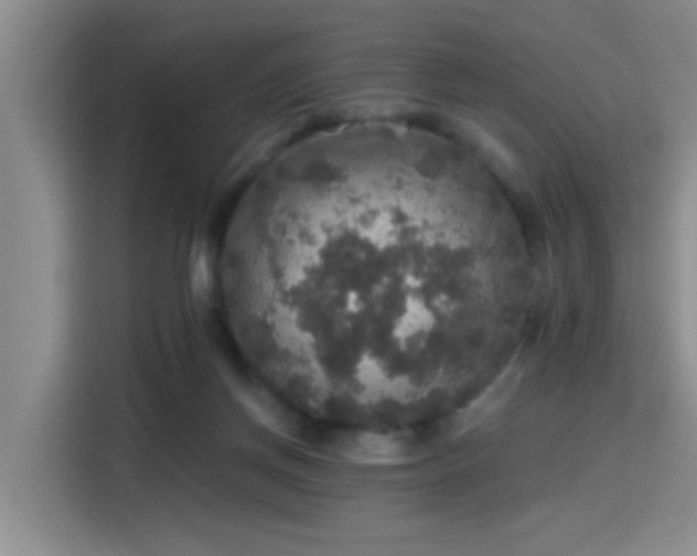 X0000115400166200911101519