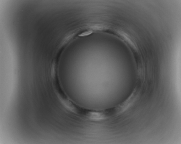 X0000115400167200911101519