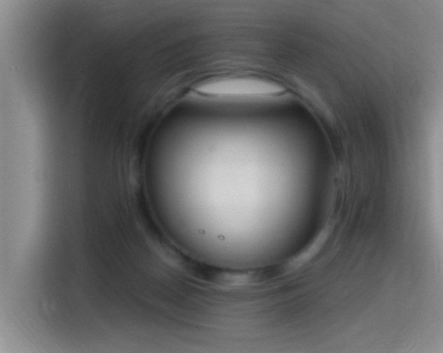 X0000115400170200911101519