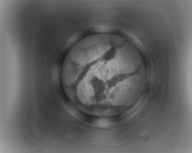 X0000115400171200911101519