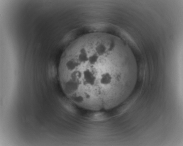 X0000115400173200911101519