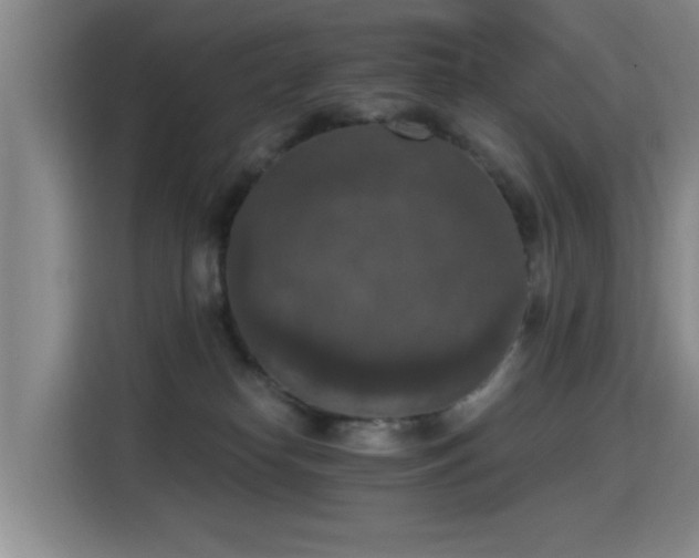 X0000115400182200911101519