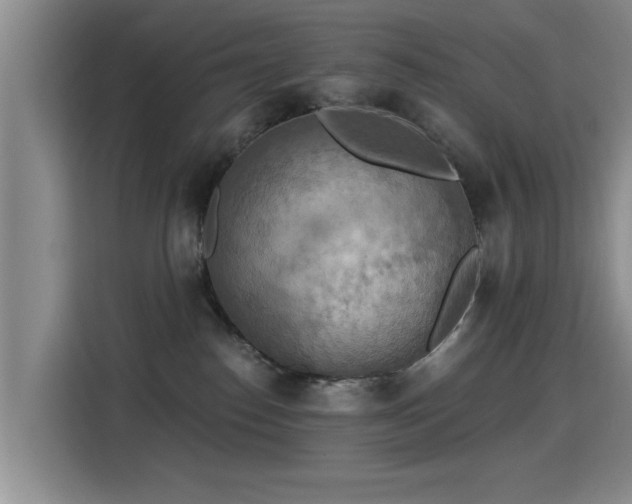 X0000115400186200911101519