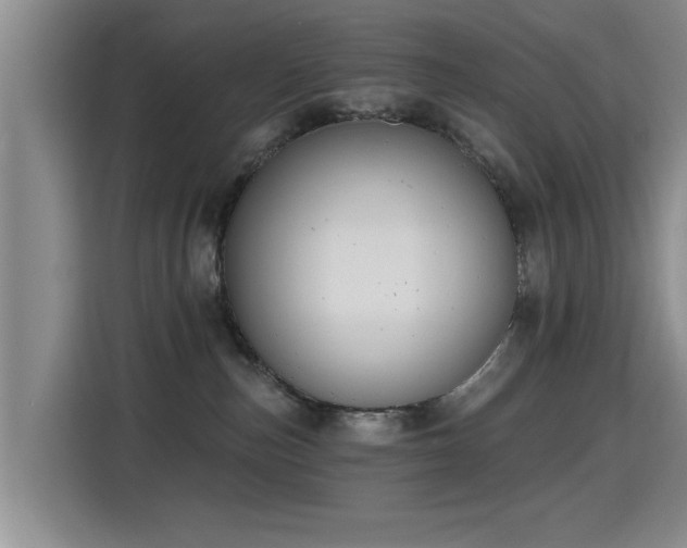 X0000115400187200911101519