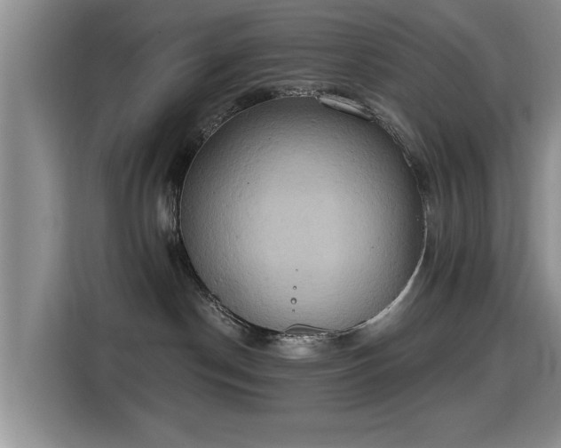 X0000115400190200911101520