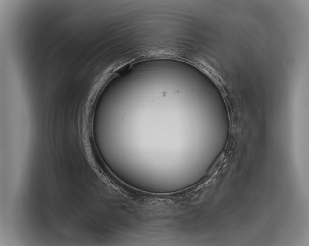 X0000115400193200911101519