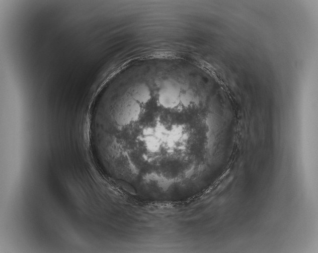 X0000115400194200911101519