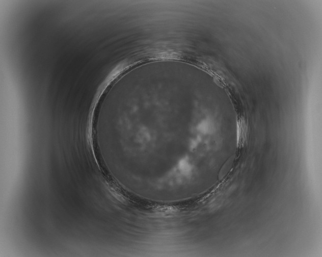 X0000115400195200911101519