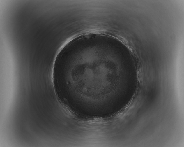 X0000115400196200911101519