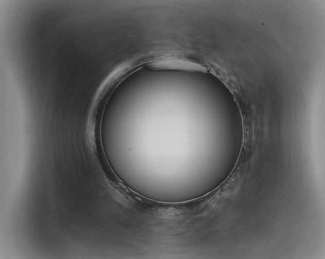 X0000115400197200911101519