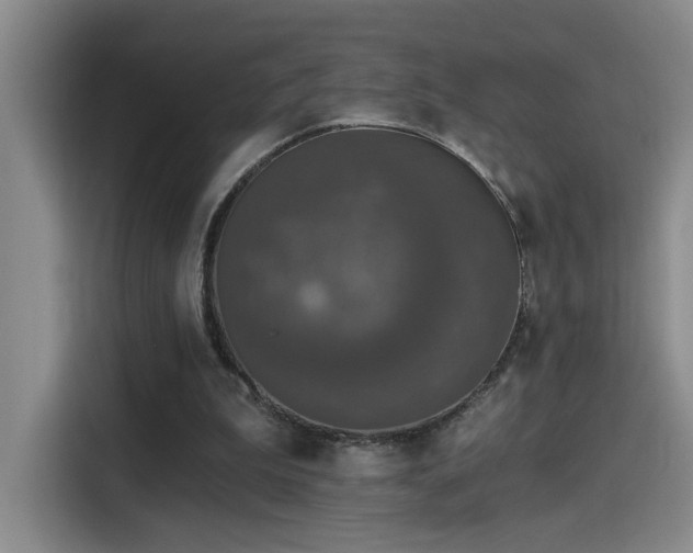 X0000115400199200911101519