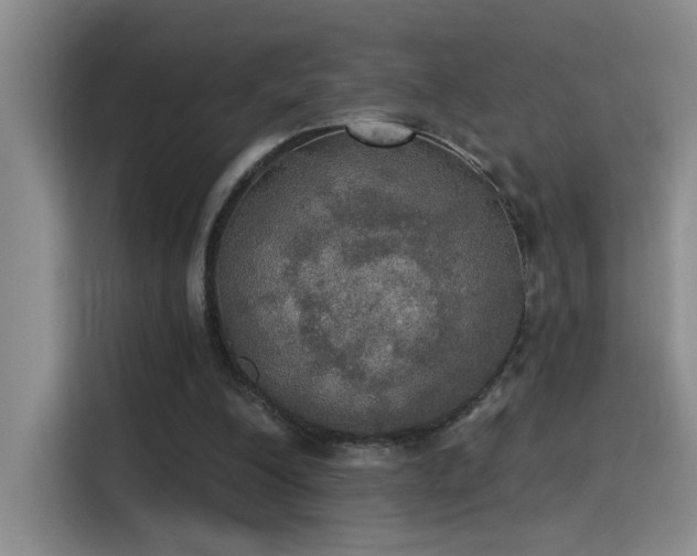 X0000115400200200911101519