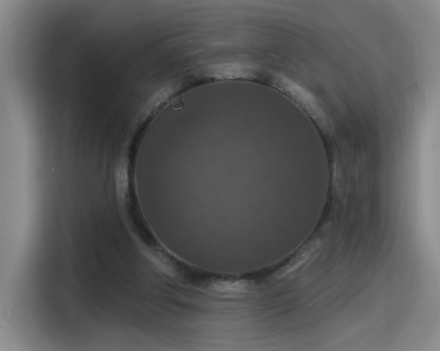 X0000115400202200911101519