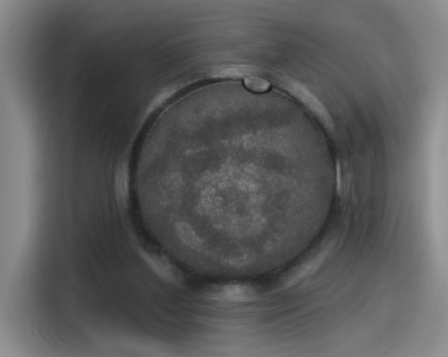 X0000115400204200911101519