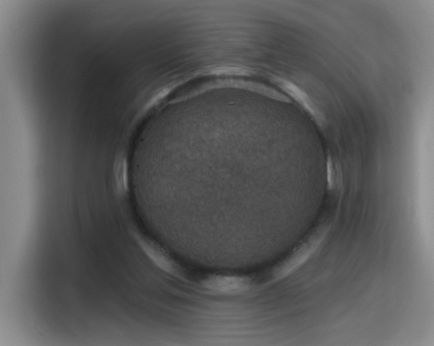 X0000115400205200911101519
