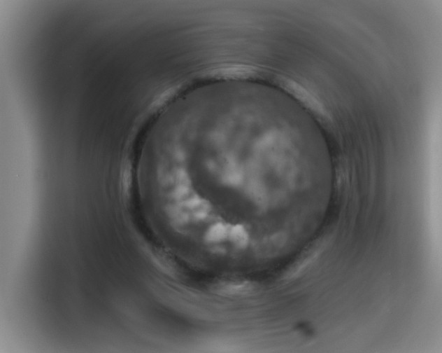 X0000115400206200911101519