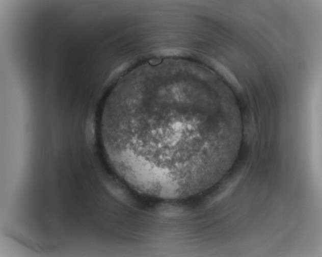 X0000115400207200911101519
