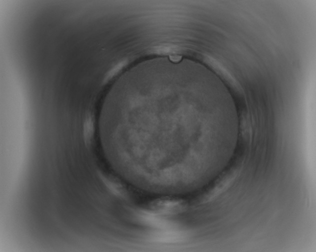 X0000115400208200911101519