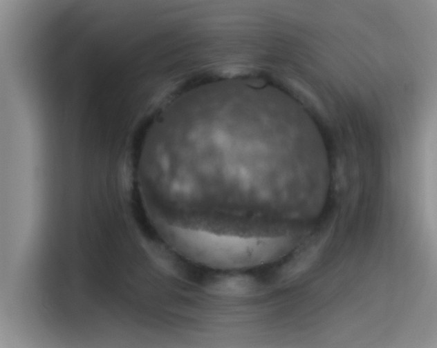 X0000115400210200911101519