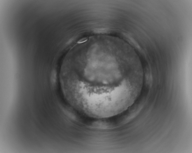 X0000115400211200911101519