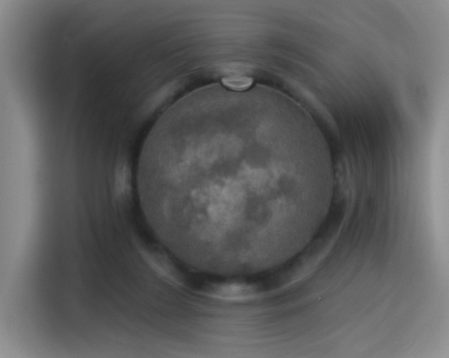 X0000115400212200911101519