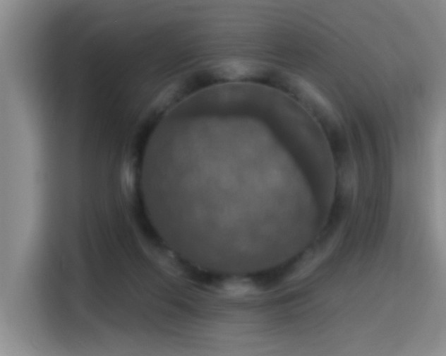 X0000115400214200911101519