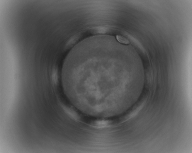 X0000115400216200911101519