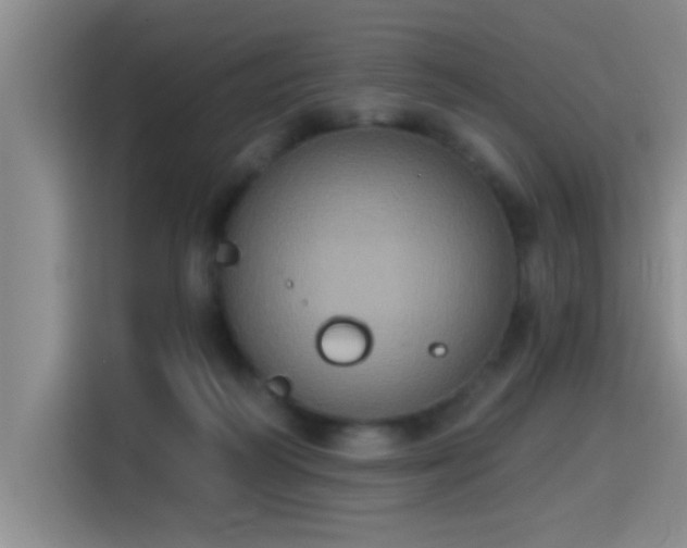 X0000115400218200911101519