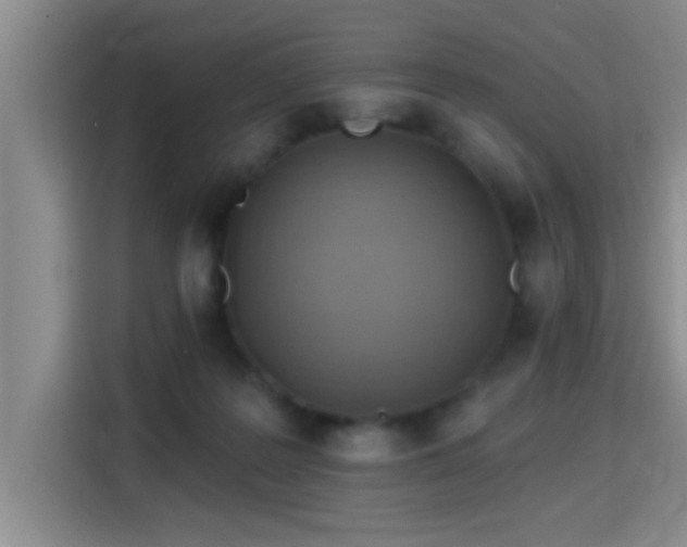 X0000115400219200911101519