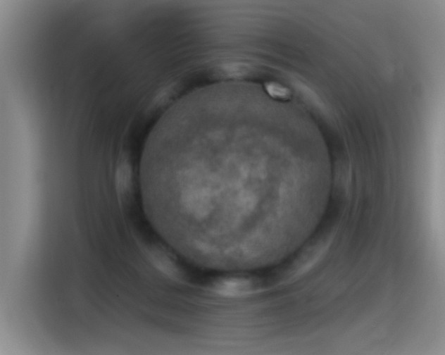 X0000115400220200911101519
