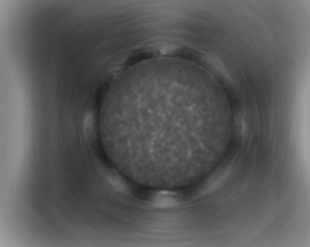 X0000115400222200911101519