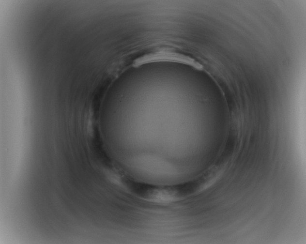 X0000115400223200911101519