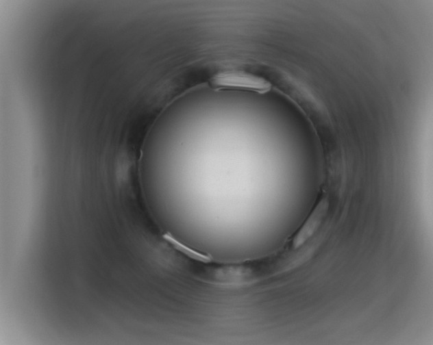X0000115400225200911101519