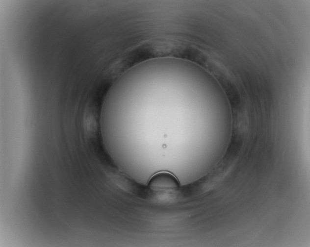 X0000115400226200911101518