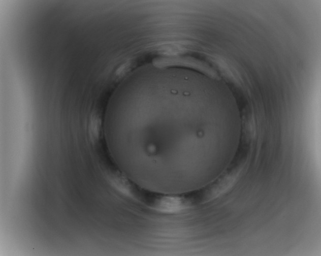 X0000115400227200911101518