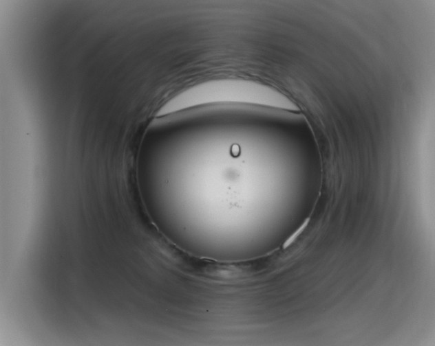 X0000115400229200911101518