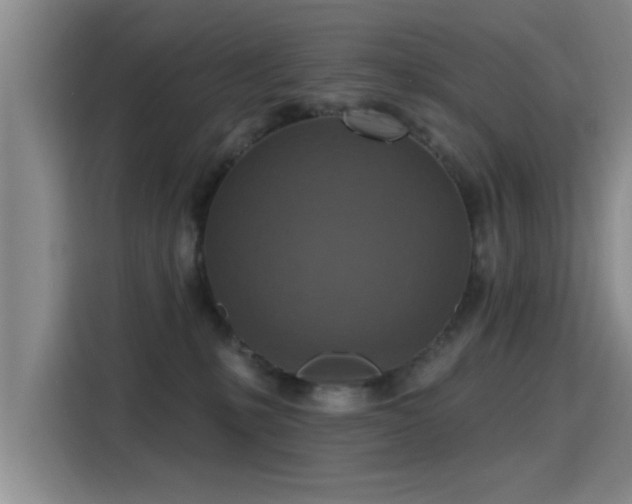X0000115400231200911101518
