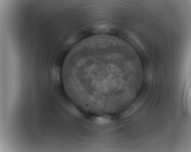 X0000115400232200911101518
