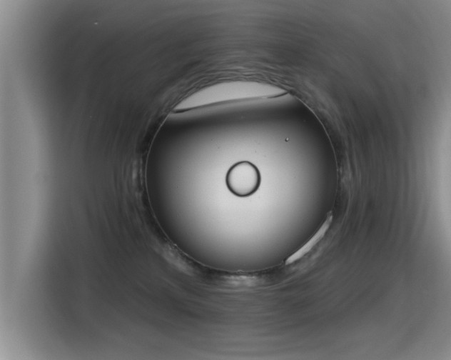 X0000115400233200911101518