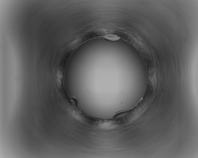 X0000115400235200911101518