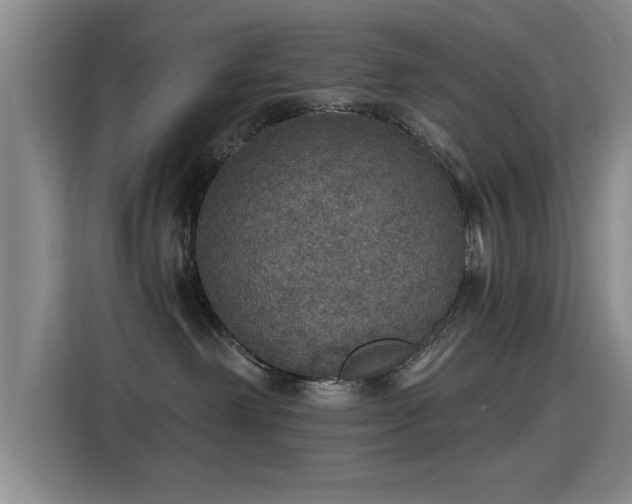 X0000115400238200911101518