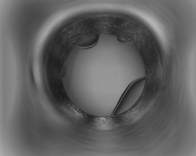 X0000115400239200911101518
