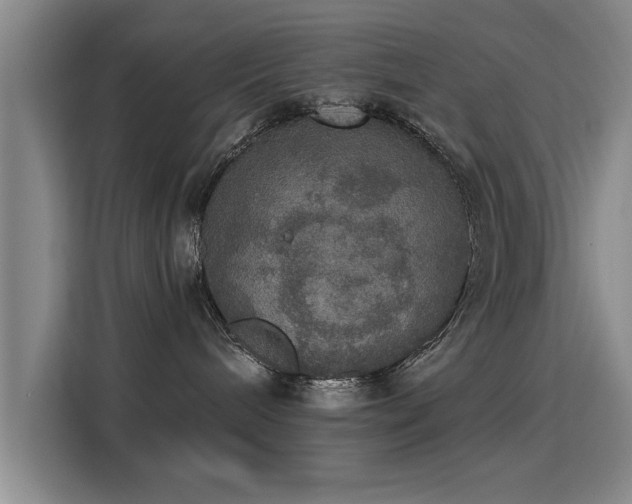 X0000115400240200911101518