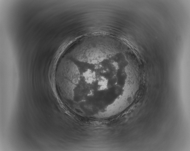 X0000115400241200911101518