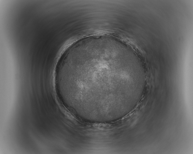 X0000115400242200911101518