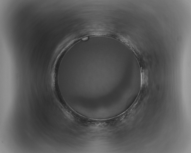 X0000115400243200911101518